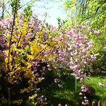 Alsace - 4 D'hote - Private Gaestezimmer Elsass - Private Guest Alsace * Bischwiller