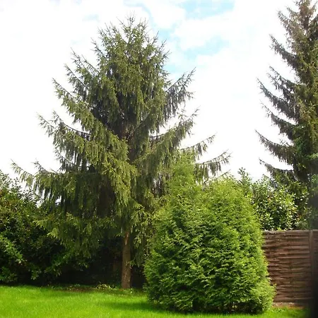 Alsace - 4 D'hôte - Private Gästezimmer Elsass - Private Guest Alsace * Bischwiller