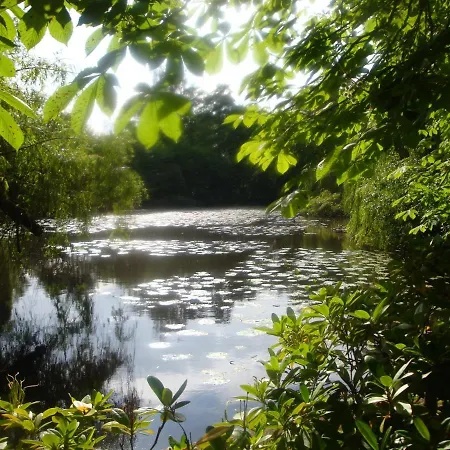 Alsace - 4 D'hôte - Private Gästezimmer Elsass - Private Guest Alsace