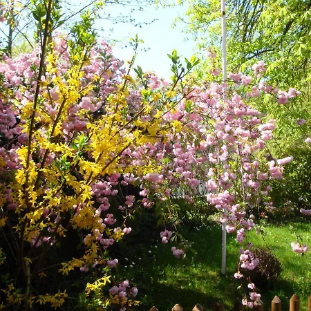 Alsace - 4 D'hote - Private Gaestezimmer Elsass - Private Guest Alsace * Bischwiller