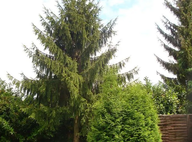 Alsace - 4 D'hote - Private Gaestezimmer Elsass - Private Guest Alsace * Bischwiller