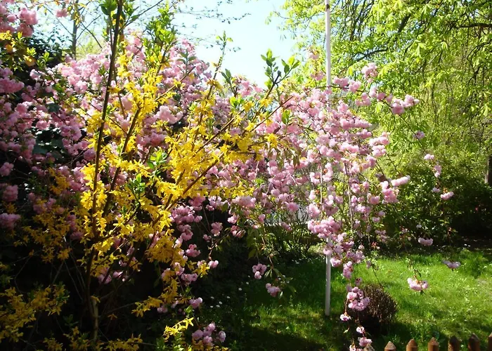 Alsace - 4 D'hote - Private Gaestezimmer Elsass - Private Guest Alsace * Bischwiller